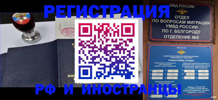 временная регистрация поиск в Щёлково