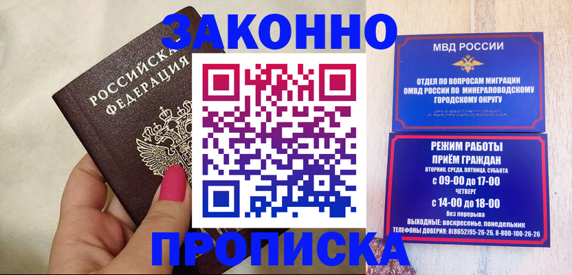 прописка для школы в Щёлково